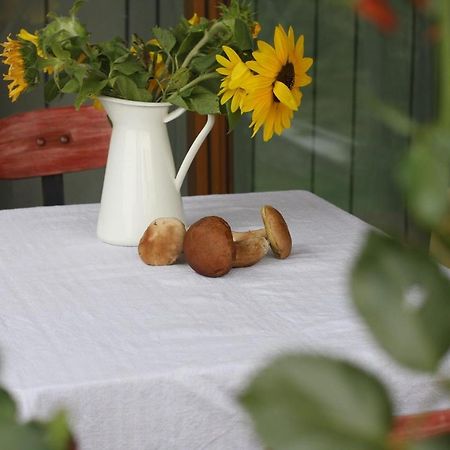 Holiday Home Trnavsko Bogojina Eksteriør bilde