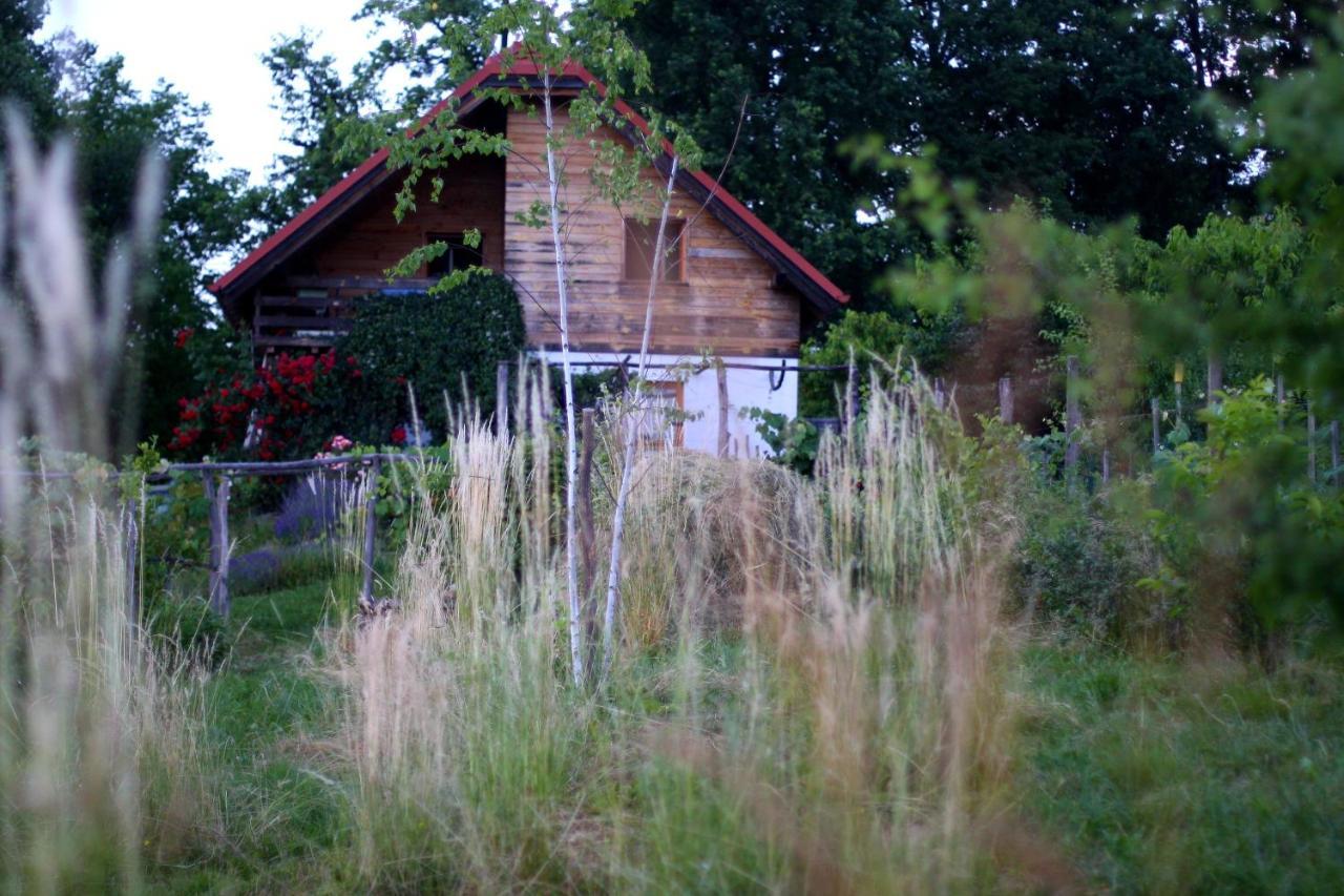 Holiday Home Trnavsko Bogojina Eksteriør bilde